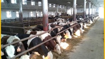 Farma Čejkovice
